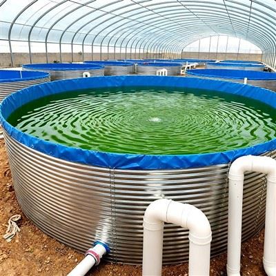 PVC baliq ovlash hovuzi