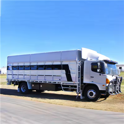 Yuk mashinasi qopqog'i uchun PVX branda